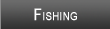 Chautauqua Lake Fishing